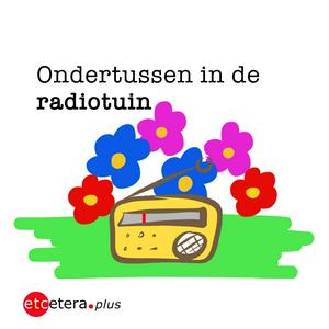 Ondertussen in de Radiotuin