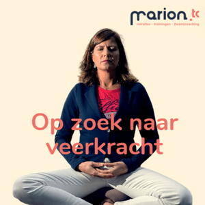 Op zoek naar Veerkracht