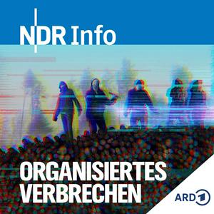 Organisiertes Verbrechen - Recherchen im Verborgenen