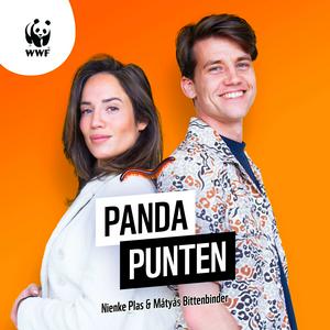 Luister naar Pandapunten in de app