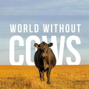 Luister naar World Without Cows Podcast in de app