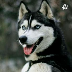 Podcast De La Novela "Los Ojos Del Perro Siberiano".