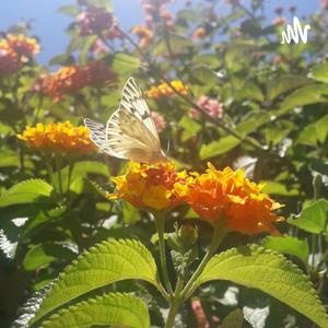 Profundos Cambios En Chile