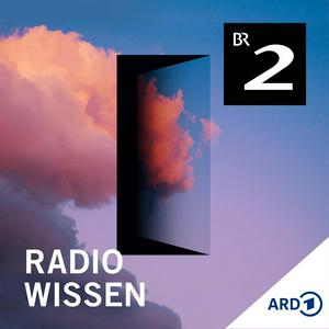 Luister naar radioWissen in de app