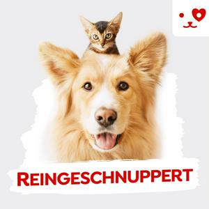 Reingeschnuppert