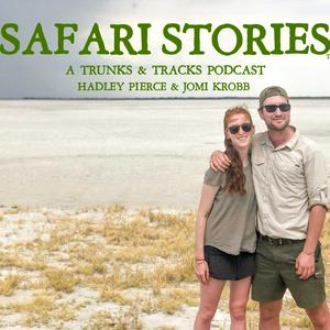 Luister naar Safari Stories in de app