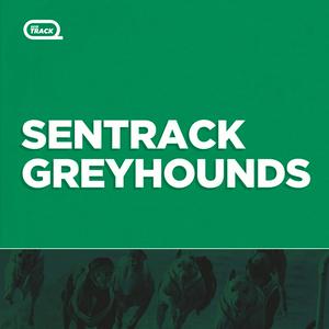 SENTrack Greyhounds