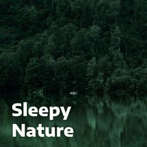 Luister naar Sleepy Nature in de app