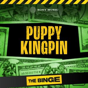 Puppy Kingpin
