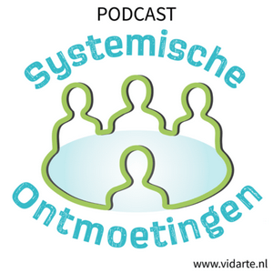 Systemische Ontmoetingen (Vidarte)