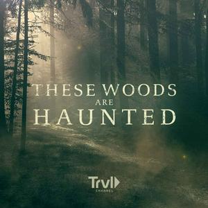 Luister naar These Woods Are Haunted in de app