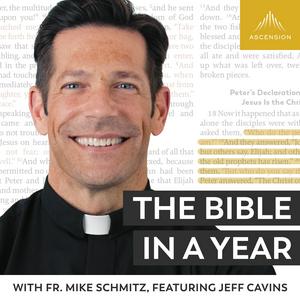 Luister naar The Bible in a Year (with Fr. Mike Schmitz) in de app