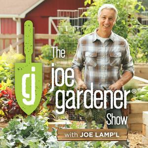 Luister naar The joe gardener Show - Organic Gardening - Vegetable Gardening - Expert Garden Advice From Joe Lamp'l in de app