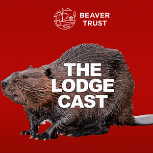 Luister naar The Lodge Cast in de app