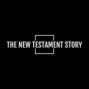 The New Testament Story