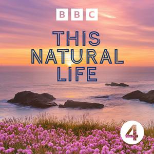 Luister naar This Natural Life in de app