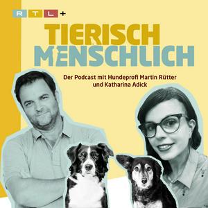 Luister naar Tierisch menschlich - Der Podcast mit Hundeprofi Martin Rütter und Katharina Adick in de app