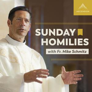 Luister naar Sunday Homilies with Fr. Mike Schmitz in de app