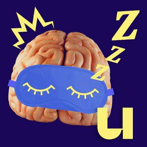 Wetenschap met je ogen dicht | Alles over slaap