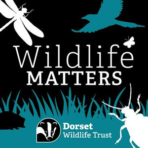 Luister naar Wildlife Matters in de app