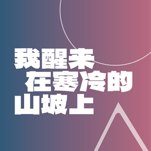 Luister naar 我醒来在寒冷的山坡上 in de app