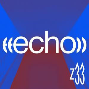 Z33 in echo